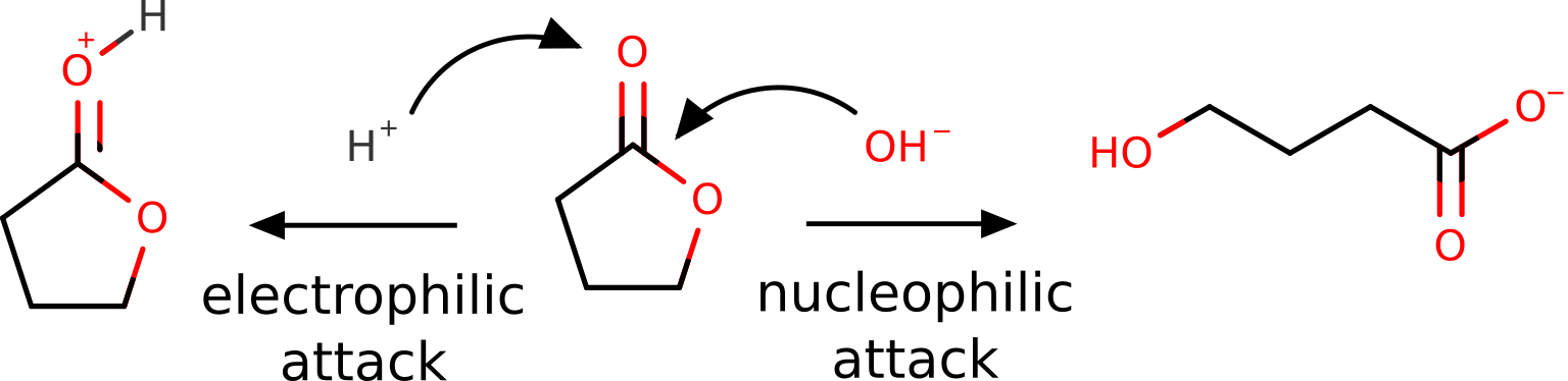 ../_images/lactone.png