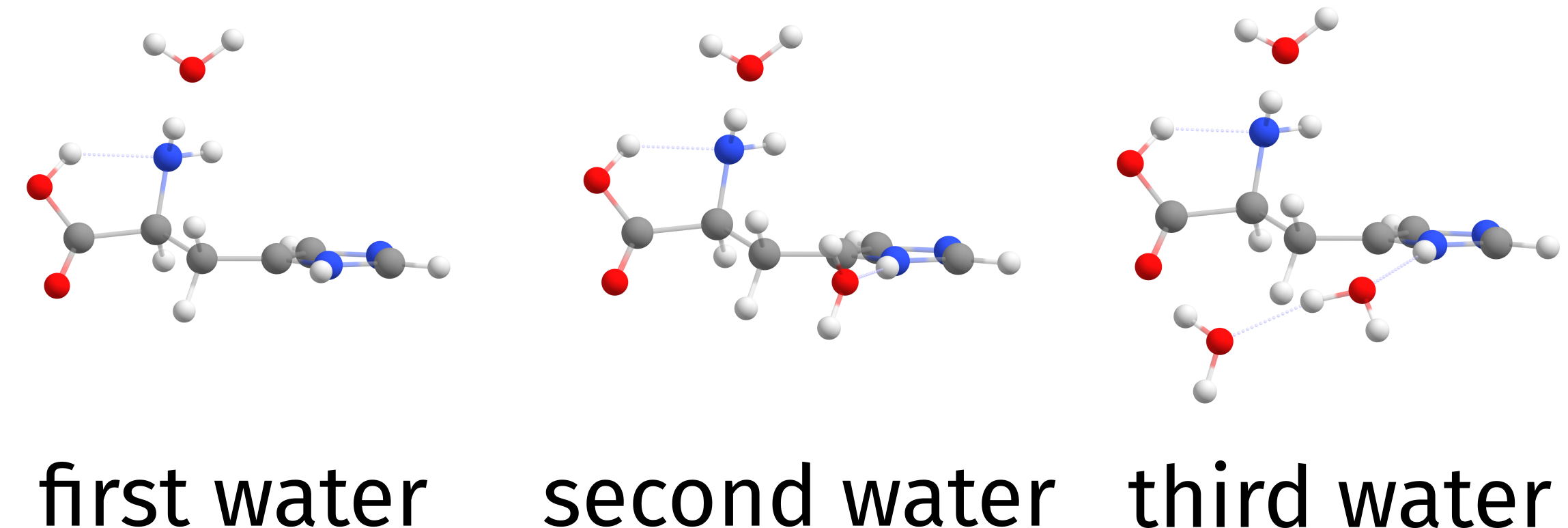 ../../_images/solvator_HIS_water.png